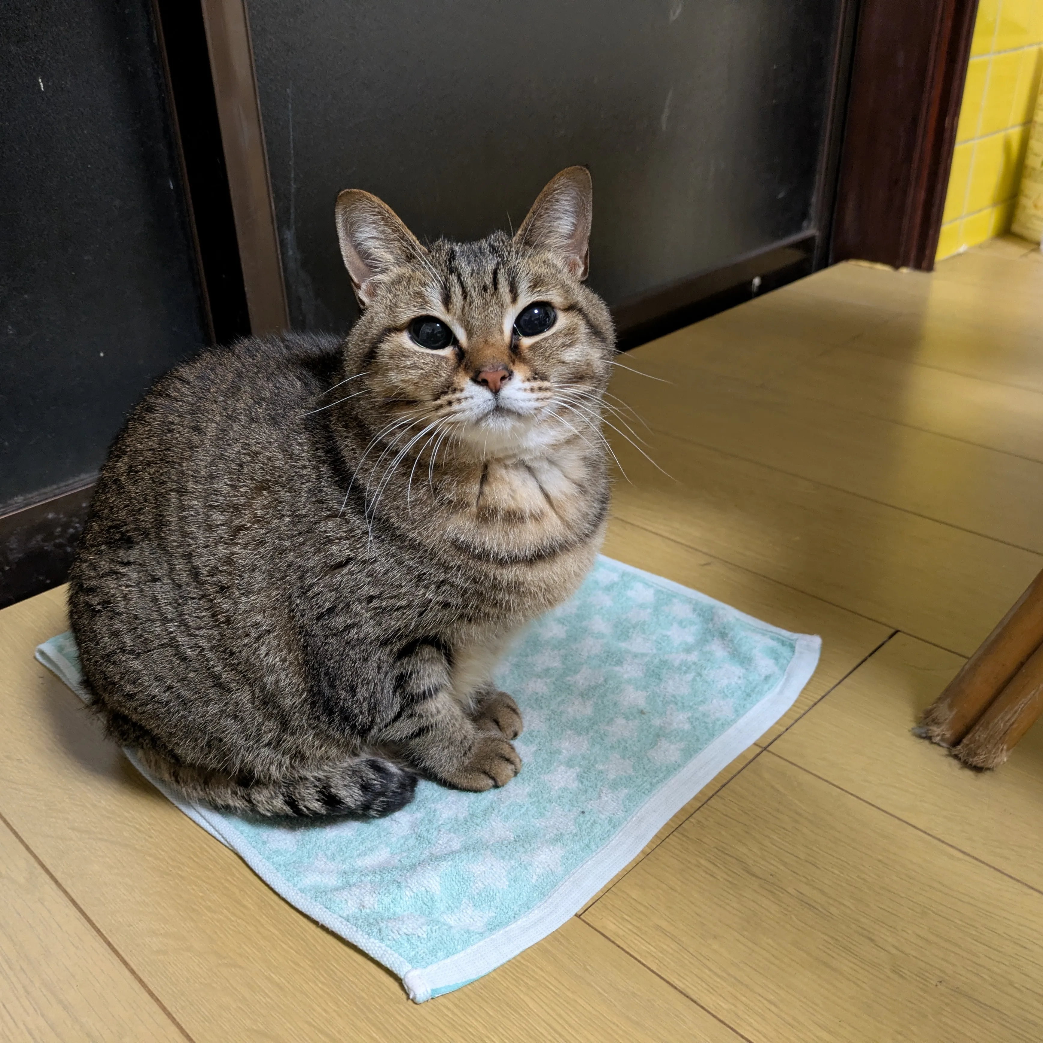 いい街