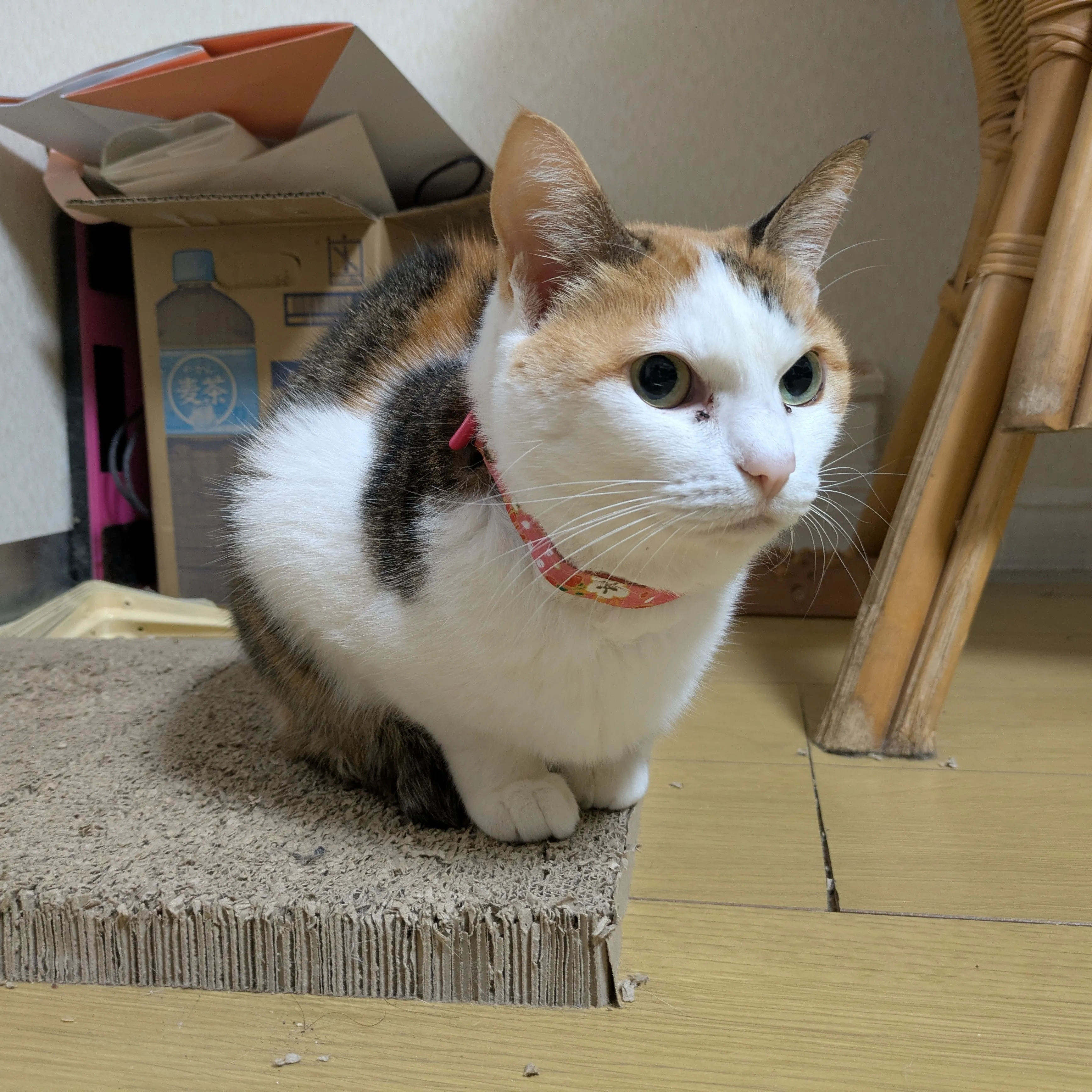 いい街