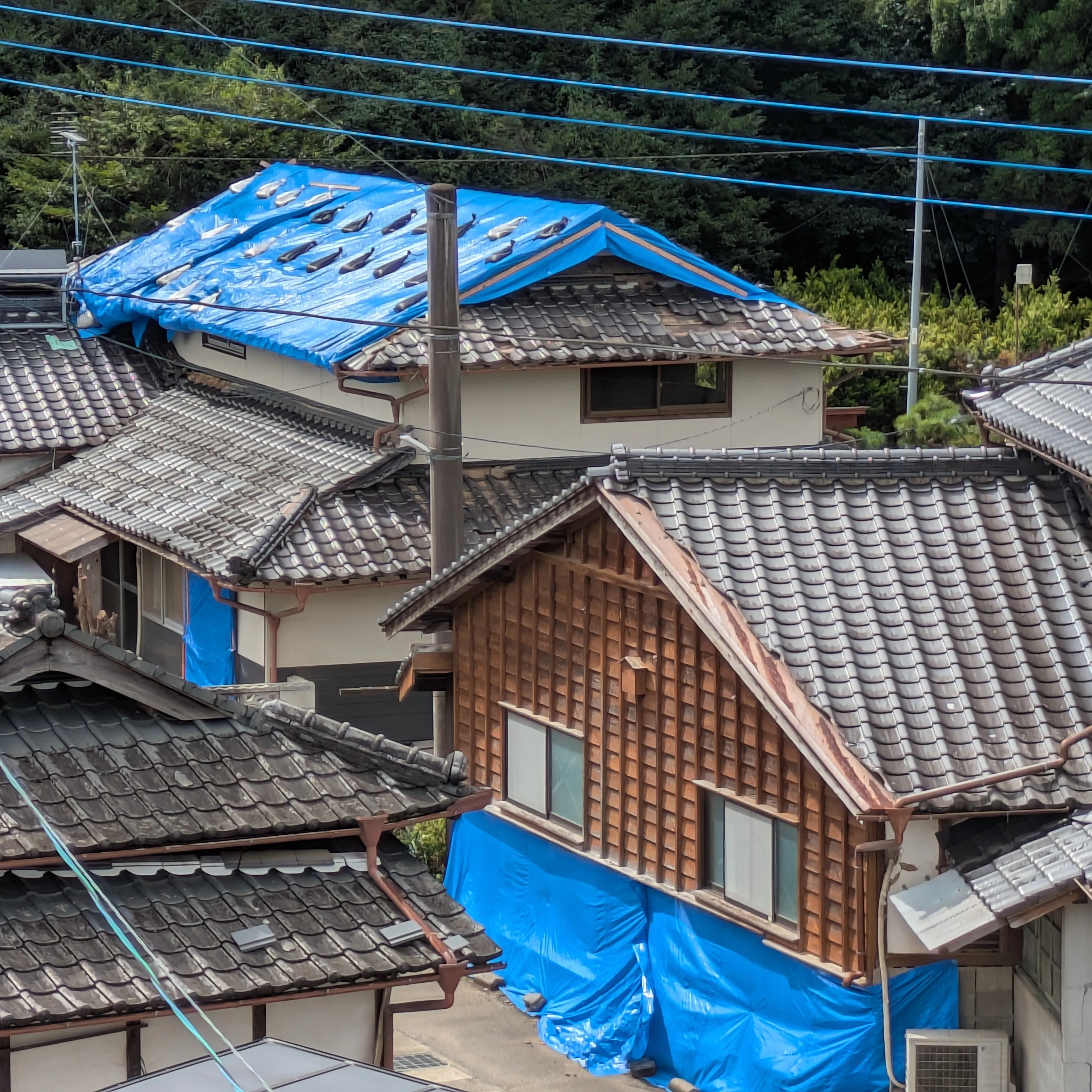 自分たちができることは、高所・勾配がある屋根の上で手元足元に...