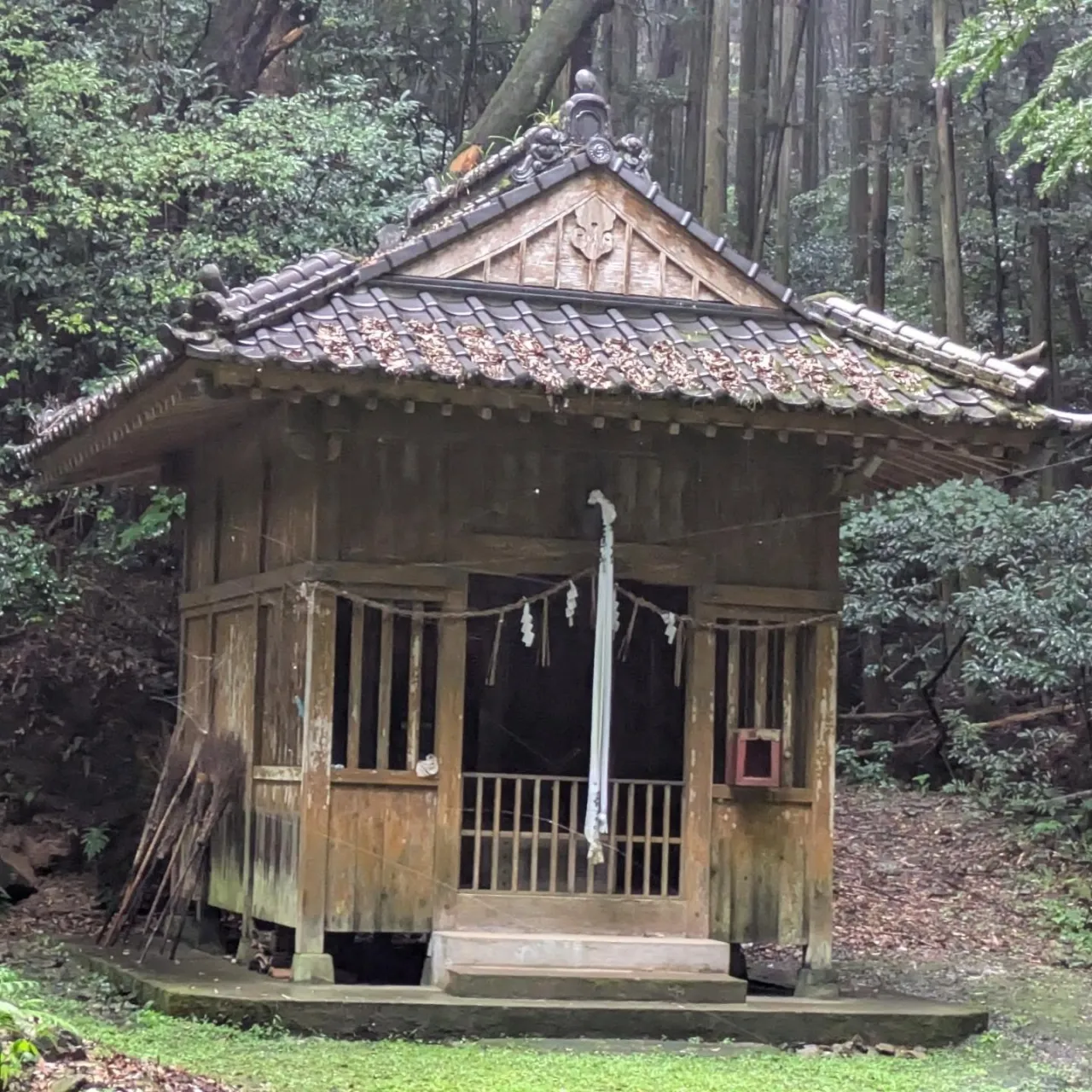 倒木による隅棟の破損、復旧の相談で、雨中の現調へ