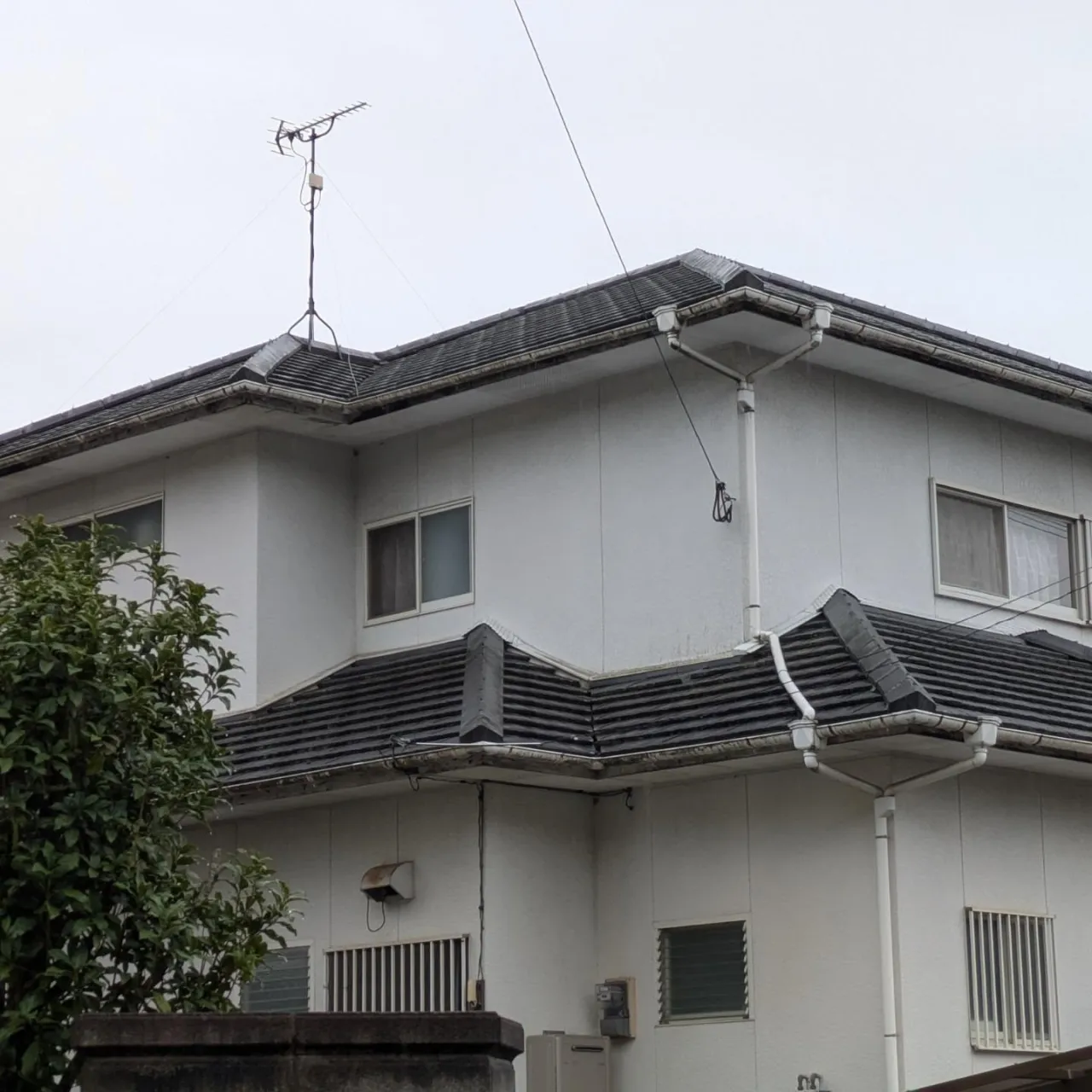 雷雨に眠りを邪魔された昨夜