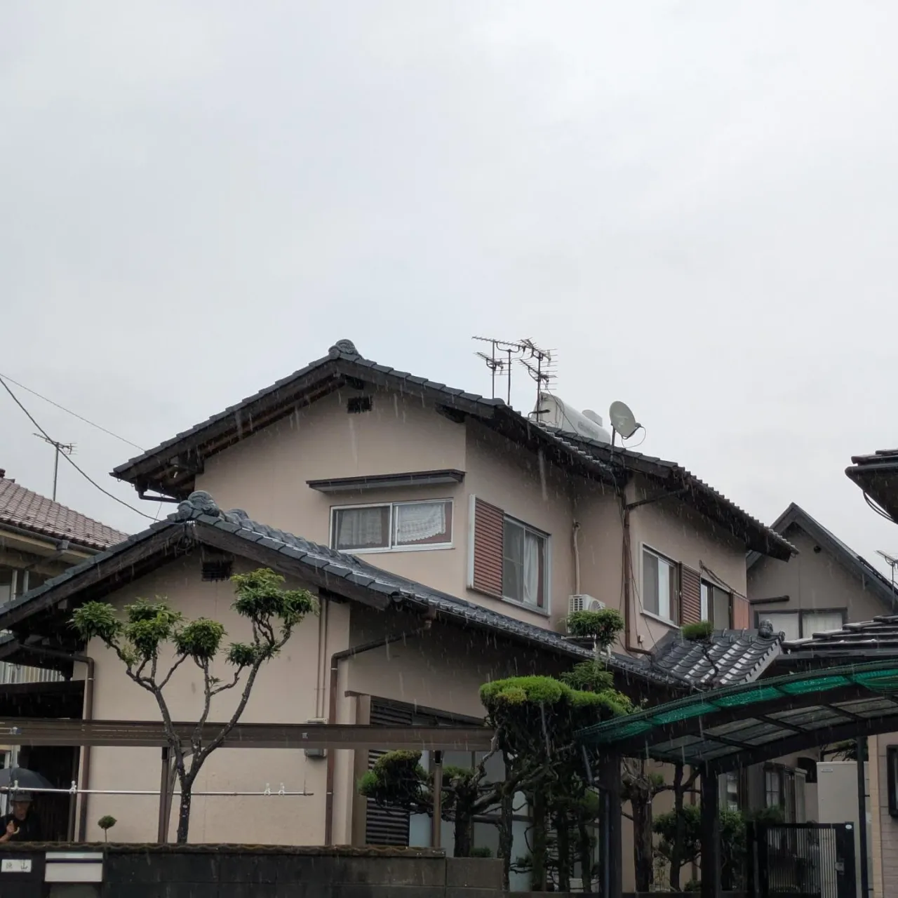 雷雨に眠りを邪魔された昨夜
