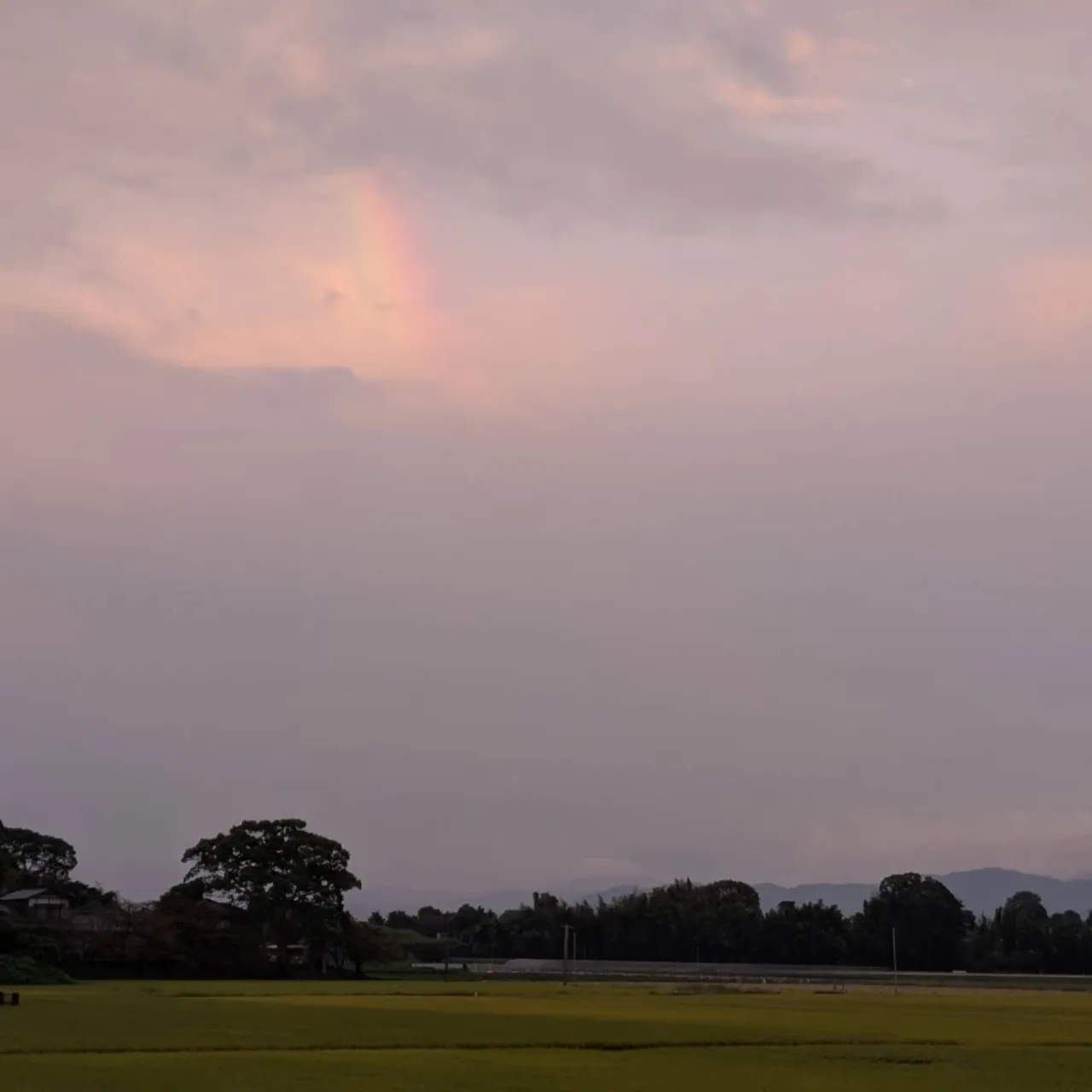 住宅、お住まいでの最大の憂いごと、というと、それは指折りで「...