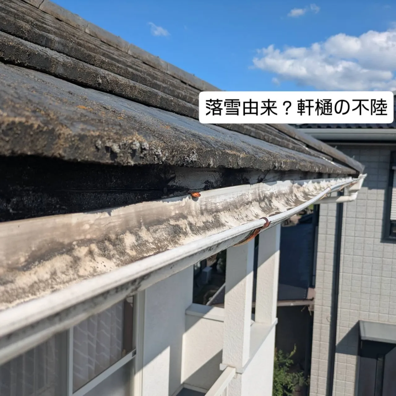 雨漏り物件の調査